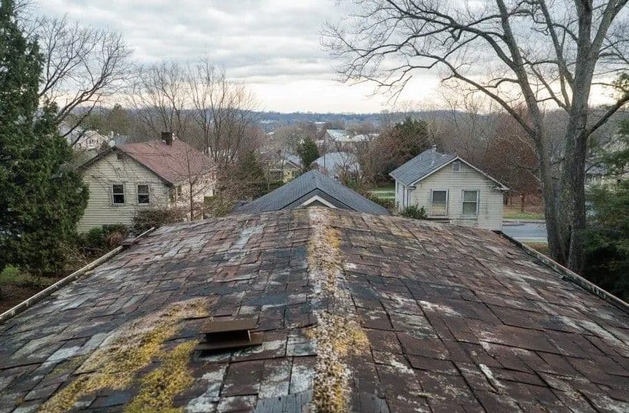 best-time-to-clean-your-roof.jpg