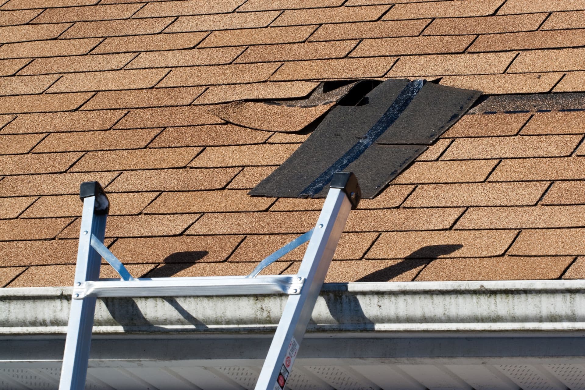 bigstock-Damaged-Roof-Shingles-Repair-6831104.jpg
